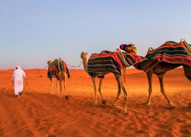 For Domestic Tourism in the UAE: A Comprehensive Experience on Home Soil