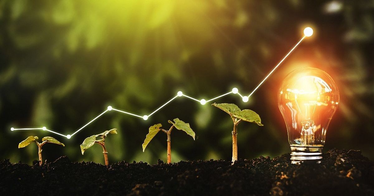 Why Supporting Small Projects Is Essential for a Sustainable Economy